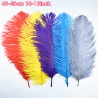 50pcslot colored ostrich feathers for crafts 40 45cm 16 18 craft ostrich feather decor wedding party needlework accessories