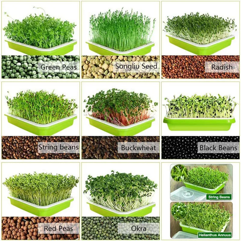 Трехмерный поднос без почвы большой емкости контейнер для выращивания пшеницы с