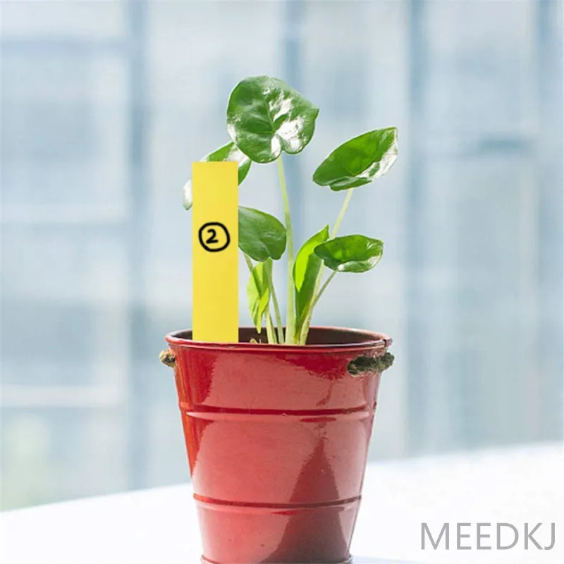 100 шт. 5 цветов ПВХ пластиковая Марка для садоводства этикетка суккулентов