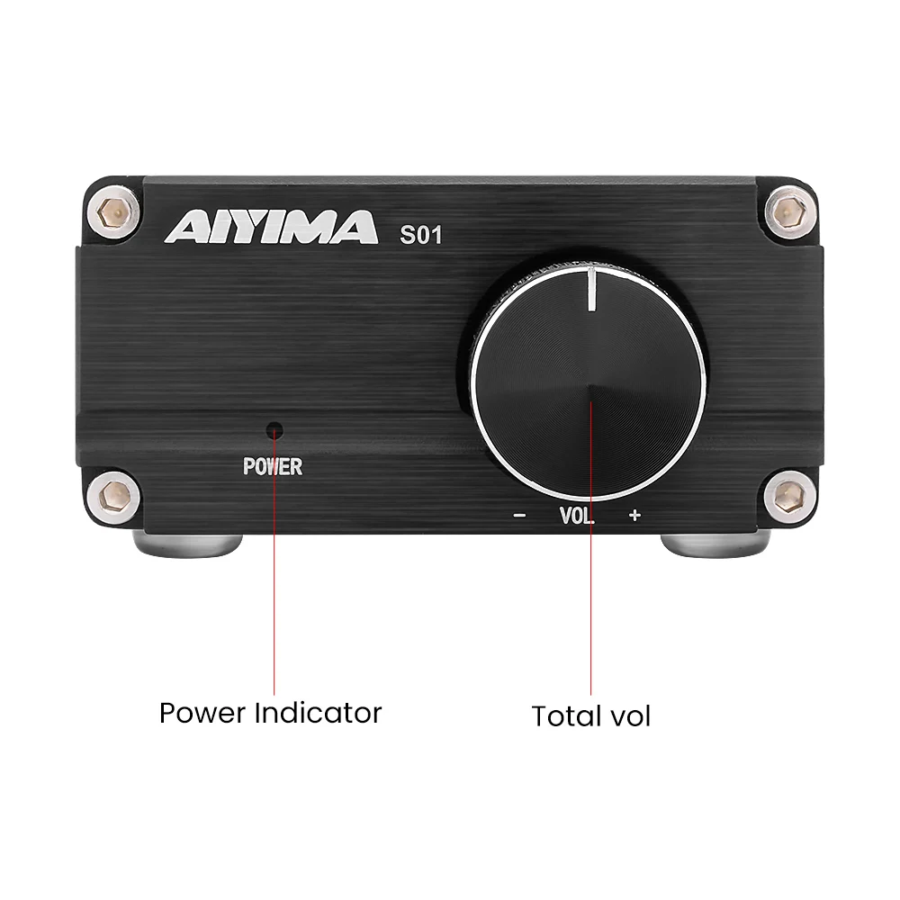 AIYIMA TPA3116 100 Вт сабвуфер аудио усилитель TPA3116D2 моно Цифровые усилители мощности с