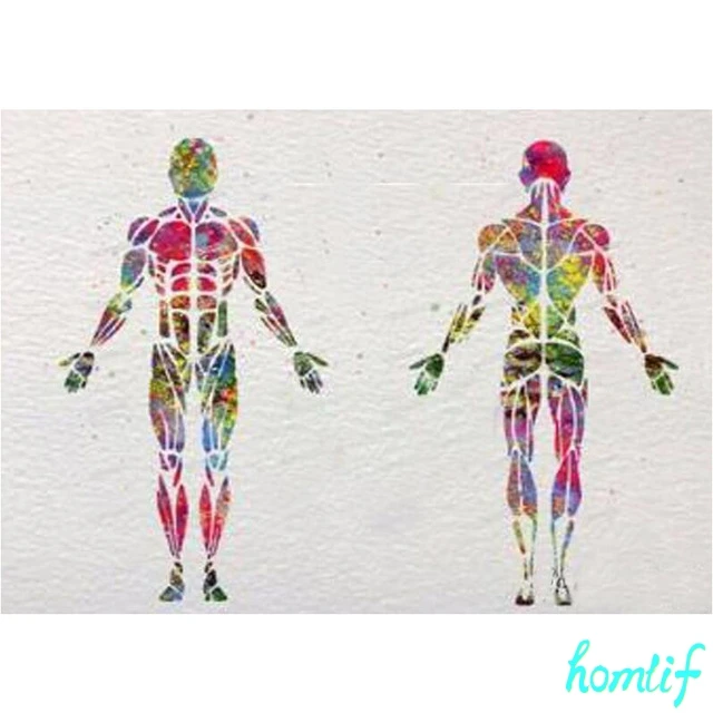 Полная квадратная/круглая Алмазная картина 5d акварельная медицинская для тела