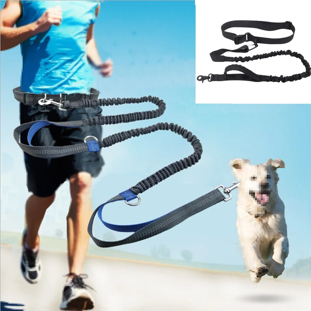 2021 New Leash Traction Rope Pet Dog For Hands Freely Running Belt Elastic Jogging Pull Metal D-ring Leashes | Дом и сад