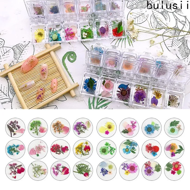 

12Grid/Box Crystal Epoxy Filler Dry Flower Mixed Nail Stickers Decorations Craft
