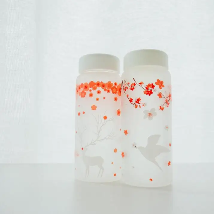 Бутылка для воды TECHOME из скраба и стекла милый мультяшный креативный подарок