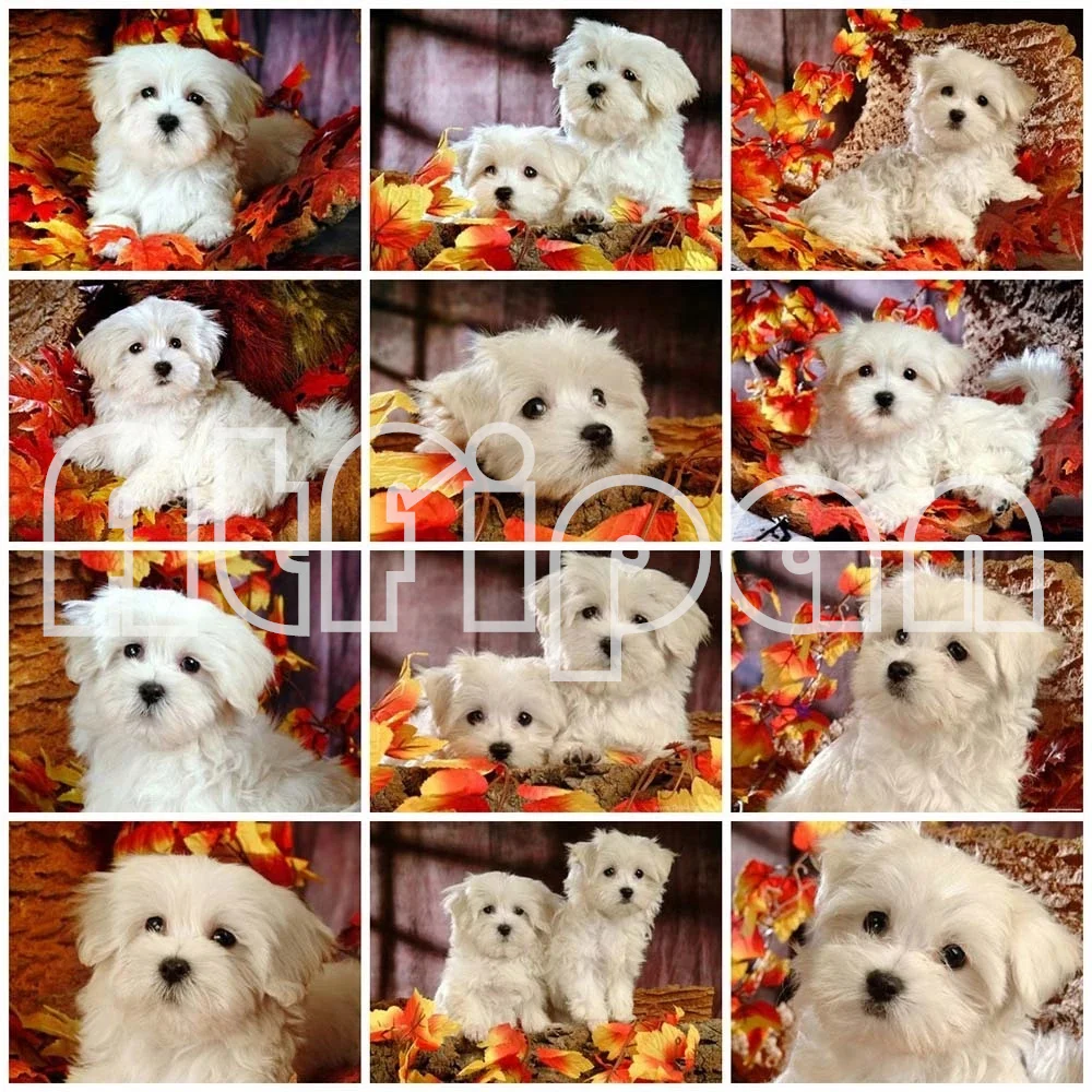 

Алмазная вышивка собака крест стежка Алмазные мозаичные Животные Изображение Стразы живопись Наборы Декор для дома ручной работы