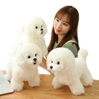 Милая Высококачественная имитация Бишон шнауцер собака кошка плюшевая игрушка детский ребенок спит с успокаивающей куклой подарок девочке на день рождения
