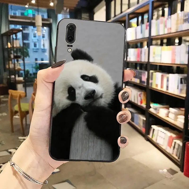 

Panda Cute animal mobile fundas Phone Case For Huawei honor Mate P 10 20 30 40 Pro 10i 9 10 20 8 x Lite