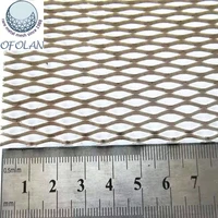 diamond hole 6 0mm12mm titanium expanded filter mesh for battery electrodegr1 in stock factory direct sales 10cm20cm