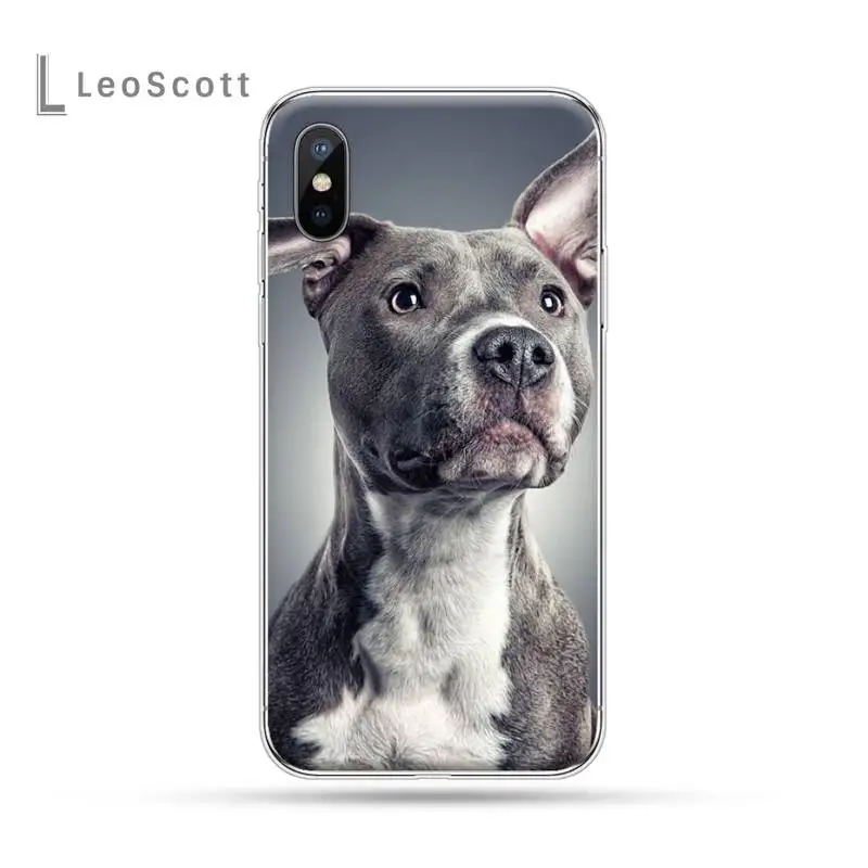 

Pit Bull Lovely Pet Dog Pitbull Phone Case For iphone 12 5 5s 5c se 6 6s 7 8 plus x xs xr 11 pro max mini