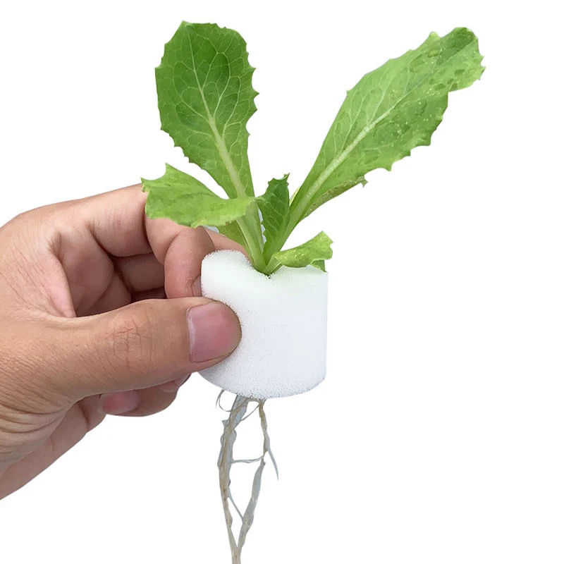 Сверхмощный гидропоники сетчатой горшок чистая чашка корзина аэропонного