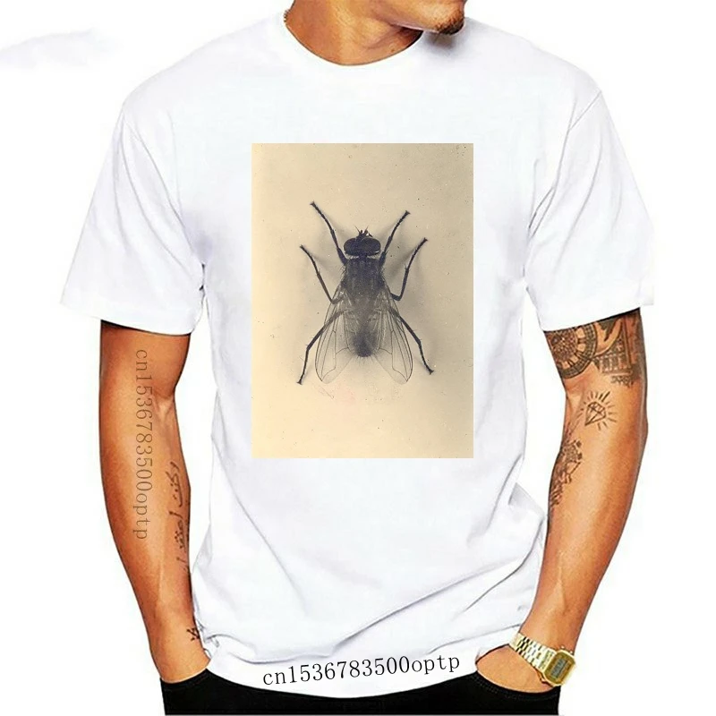 

New The Fly Insect Odd Unique Entomology T Shirt Hipster Summer 2021 Brand T Shirt Loose Hip Hop Loose T-shirt Casual Fitness