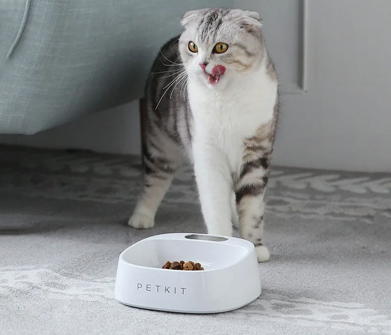 Petkit умные миски для кормления собак, безопасная Антимикробная миска для собак, питательная миска для питья кошек, нескользящая миска для домашних животных, умные собаки, кормушка для воды