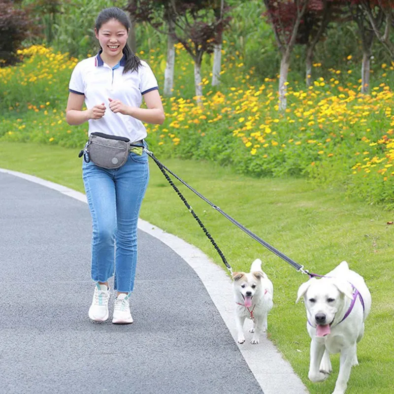 

Pet Snack Bag Traction belt Pet training belt Go out training dog Snack Bag Easy to carry when you go out