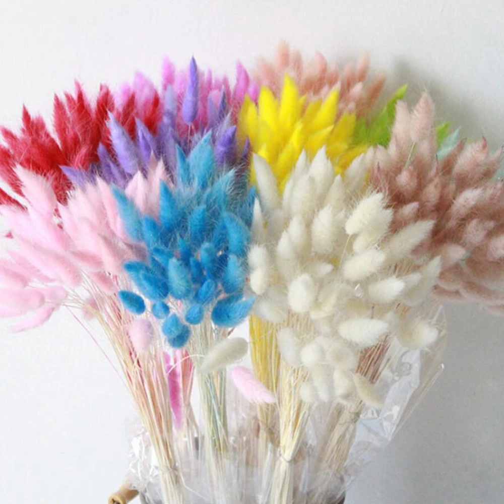 

30Pcs Gradient Lagurus Ovatus Natural Dried Flowers Bouquet DIY Wedding Home Christmas decoration Rabbit Tail Grass Real Flowers