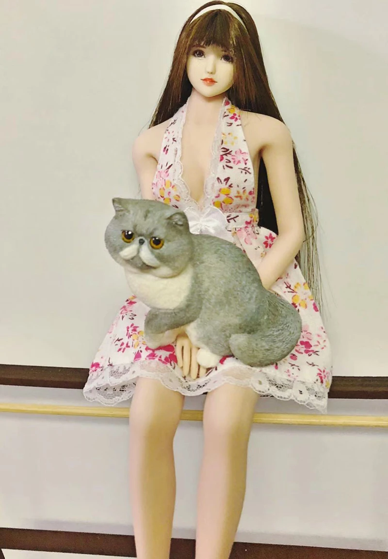 

Collectible 1/6 Scale Female Figure Clothes Accessory Sexy Floral Dress Model for 12 inches Action Figure Body