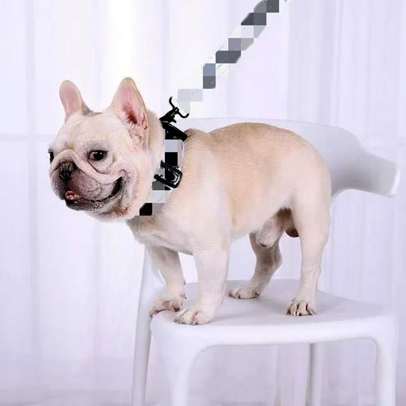 

Fashion Collar For Dogs Pet Leashes Collar Set Nylon Puppy Harness Small Cat Fat Dog French Bulldog Pug Schnauzer Pet Products