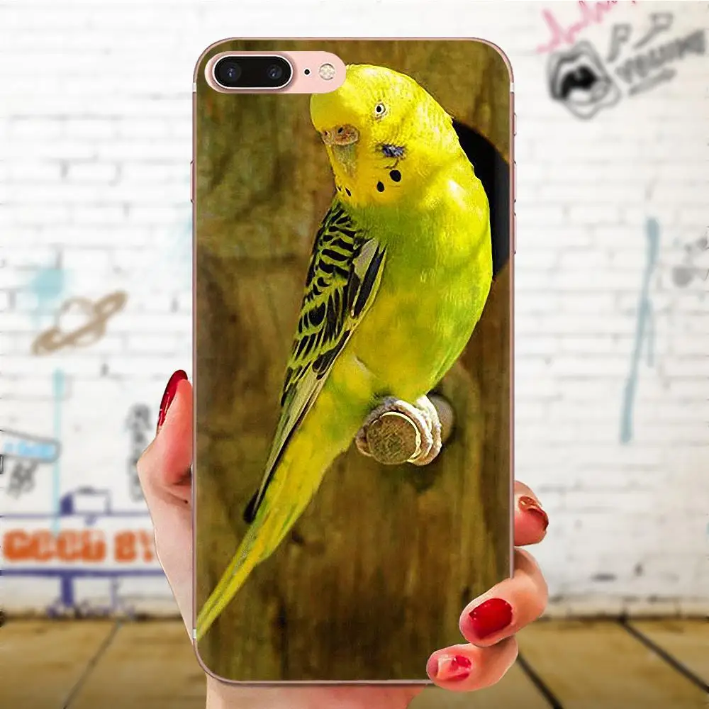 Мягкая защитная пленка из термополиуретана говорящая птица для huawei Honor mate 7 7A 8 9 10