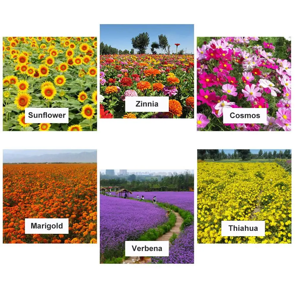 Натуральный Лотос пруд грязь водная Лилия специальные водные растения питание