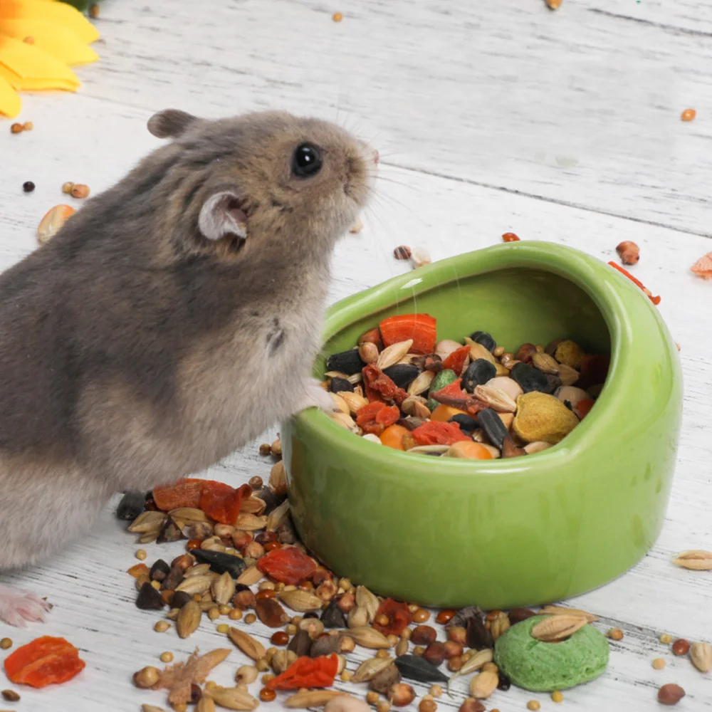 

1PC Hamster Feeding Bowl Ceramic Chew Resistant Food Bowl for Small Rodents Gerbil Hamsters (Green)