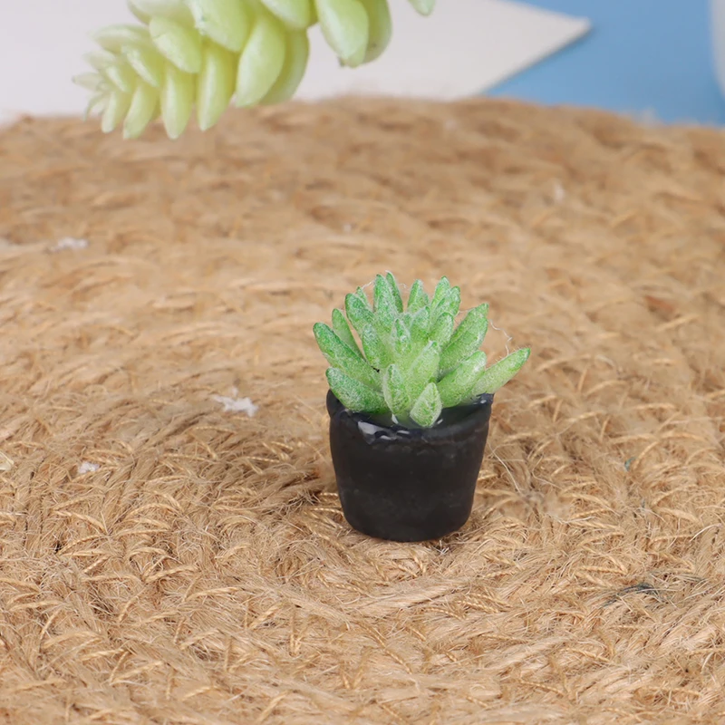 

5pcs 1:12 Dollhouse Miniature Mini Potted Succulent Plant Model Accessories
