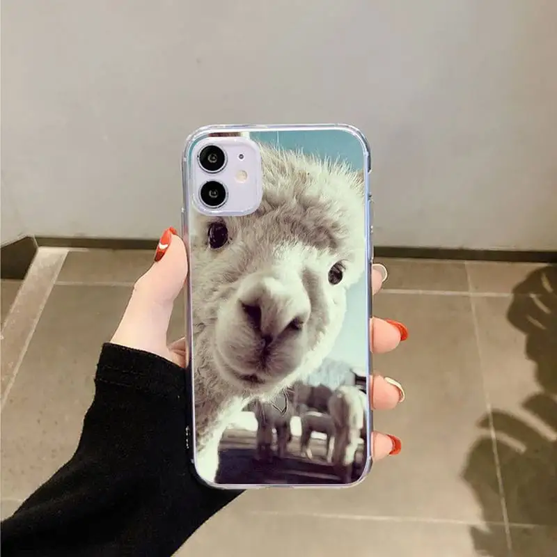 

Cute Lama Llama Alpacas Animal Phone Case Transparent for iPhone 6 7 8 11 12 s mini pro X XS XR MAX Plus