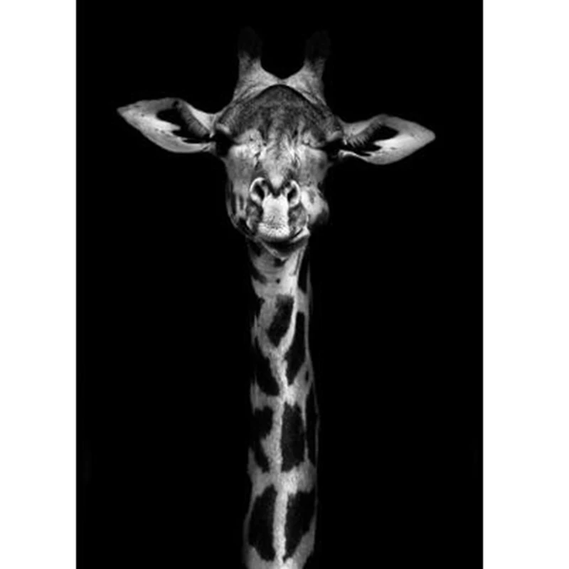 Алмазная живопись набор для алмазной вышивки сделай сам черно белая