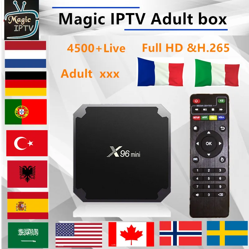 X96 Мини android tv BOX 1 год Европа IP tv подписка Франция Великобритания Немецкий Арабский голландский Швеция французский Польша Португалия tv IP tv M3U