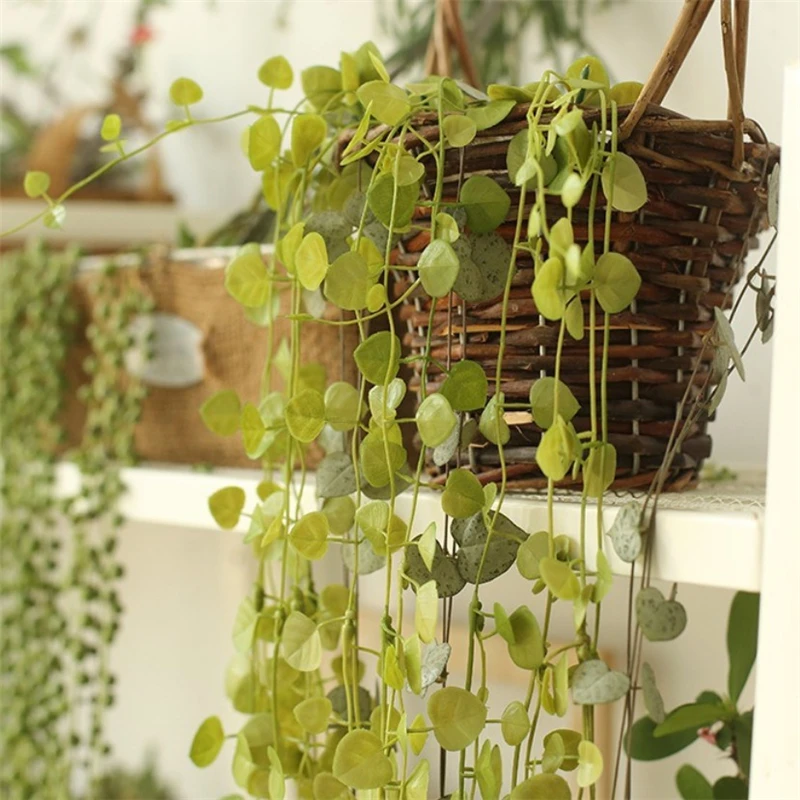 

Succulent Plants Hanging Baskets Balcony Garden Decoration Artificial Flowers Plant Hanging Orchid Flowers Wines Fake Leaves