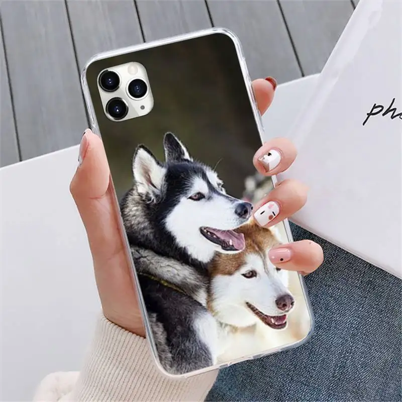 

Husky dog Colorful Cute Phone Case For iphone 12 5 5s 5c se 6 6s 7 8 plus x xs xr 11 pro max mini
