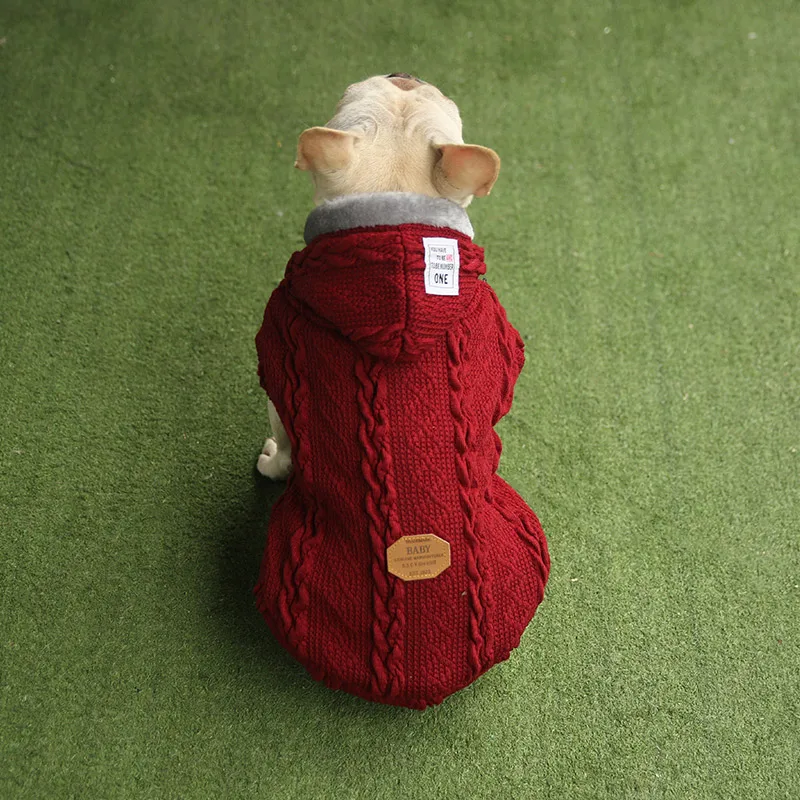 

Pet Dog Clothes for Small Dog Coats Jacket Winter Dogs Cats Clothing Chihuahua Cartoon Pet Clothing Kawaii Dog Costume Clothes