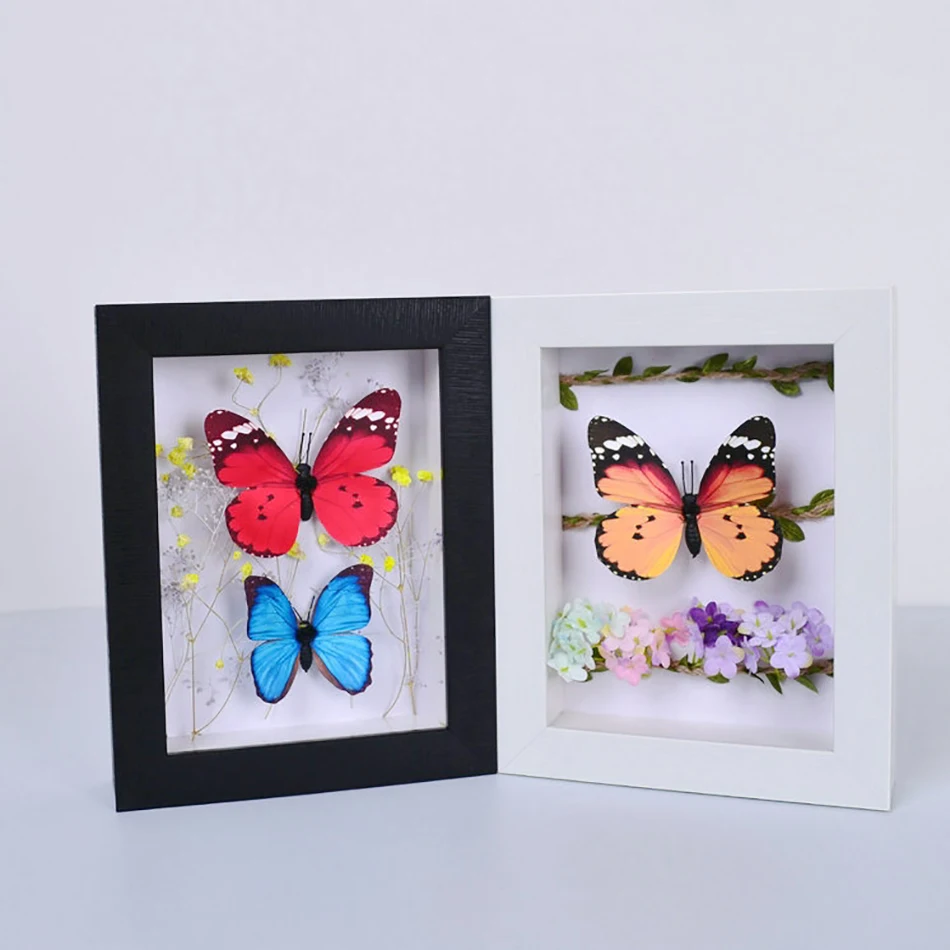 Рамка теневой коробки на глубину 3 см с изображением цветов растений монет фото