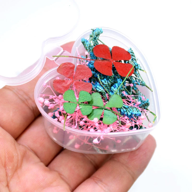 1 коробка естественных фаст сушеные цветы лист красочная красота настоящая Флора