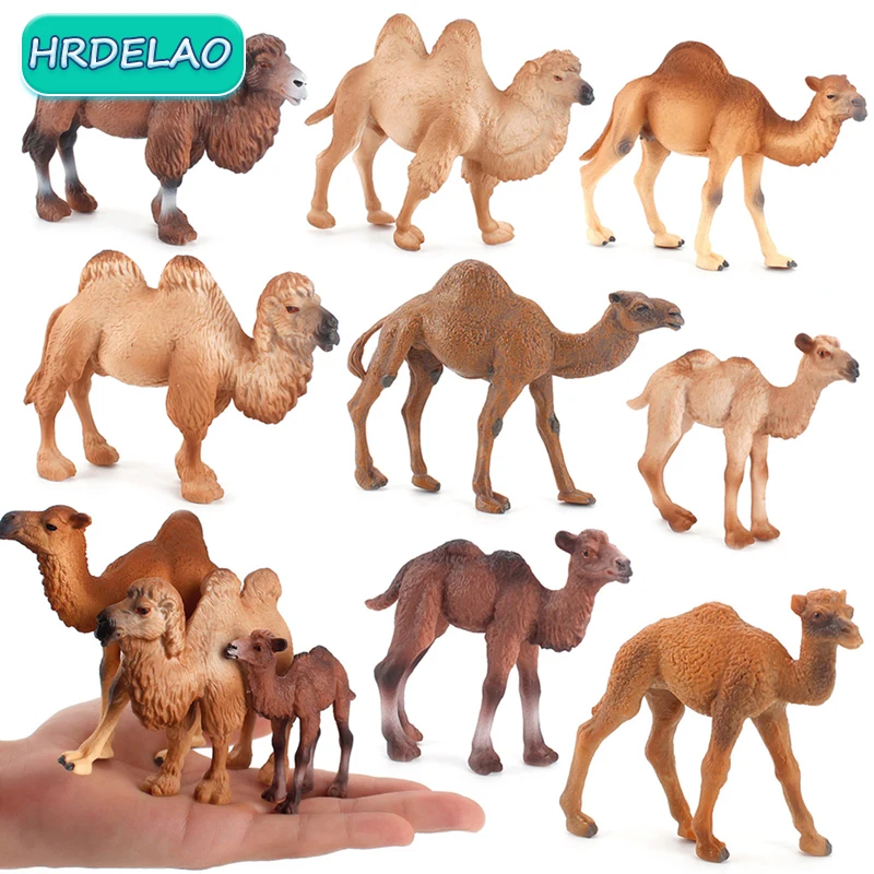 

2022 Realistic Hand Painted Wild Life Animals Figurine Camel Cub ABS Model Action Figures Early Education toys for children Gift