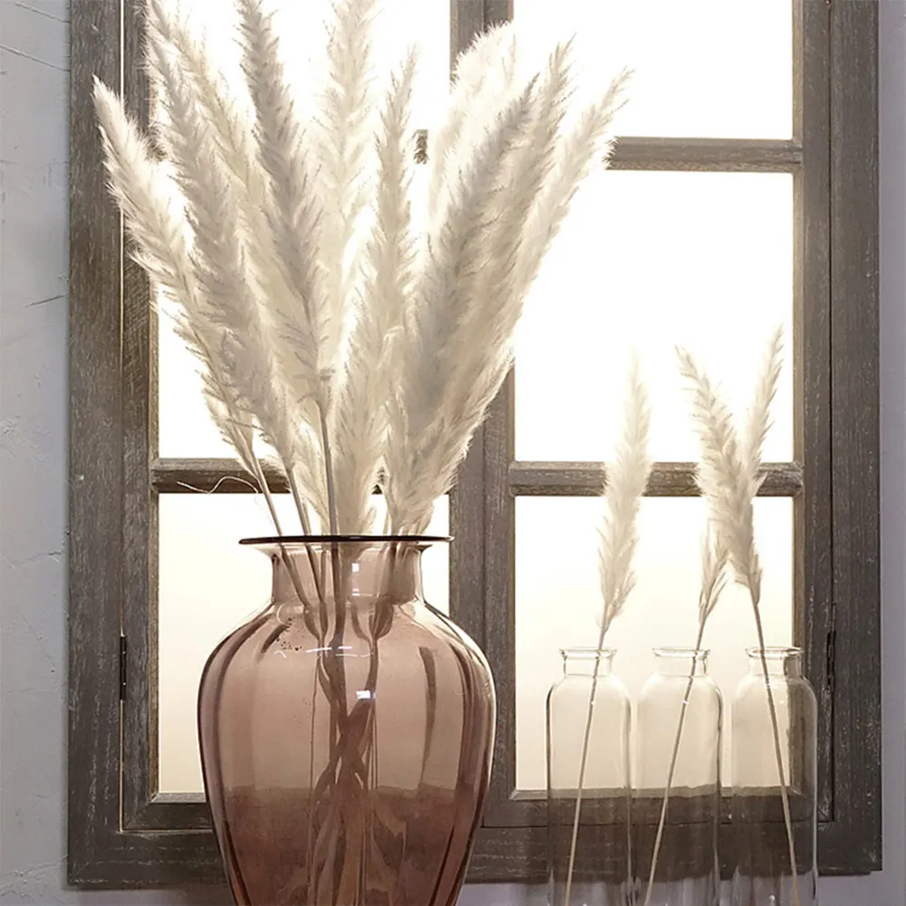 

10 Pcs Dried Small Pampas Grass Phragmites Decoration for Home Store Wedding