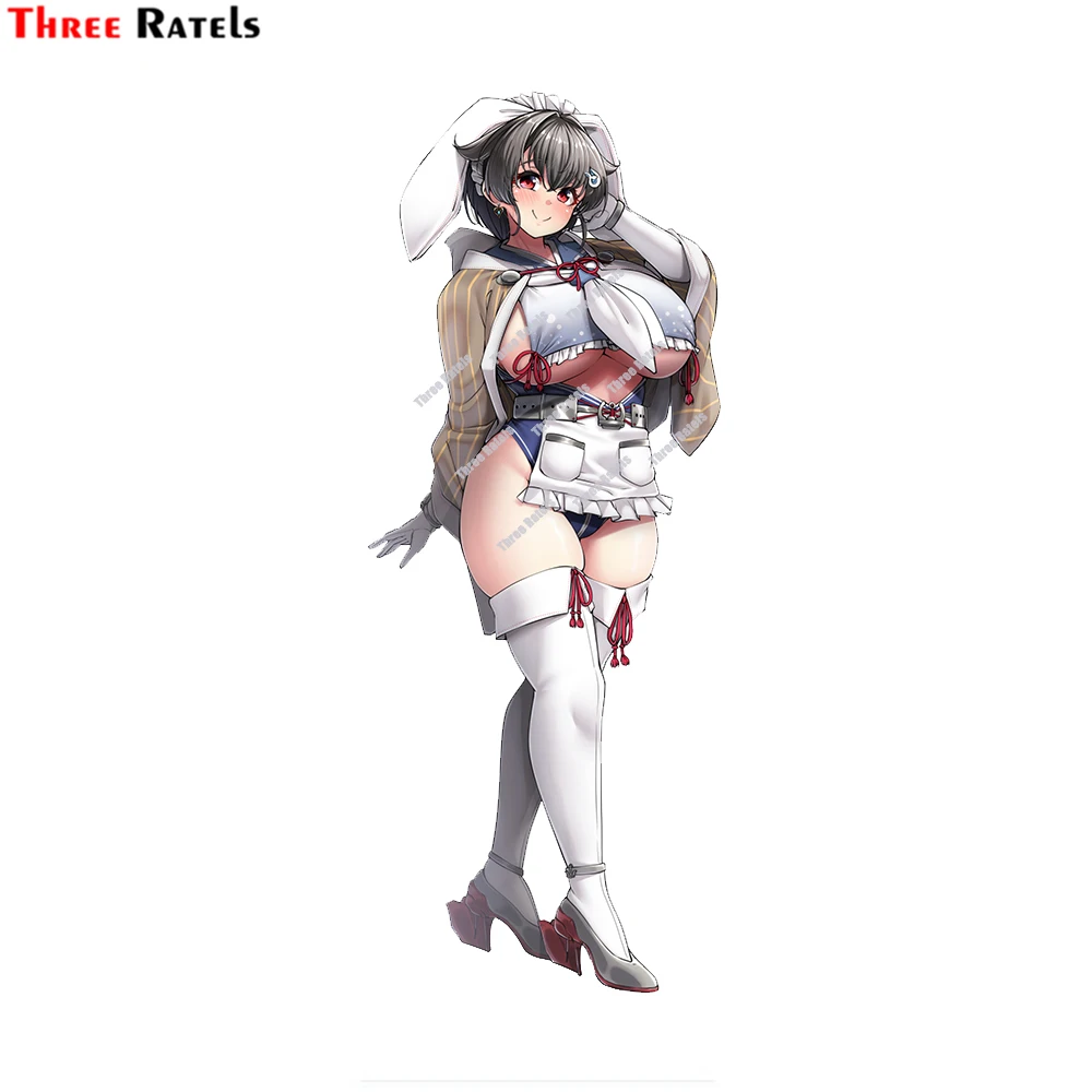 Three Ratels D665 Kaga Kamoi и Jingei Kantai Коллекция автомобильных наклеек наклейка аниме