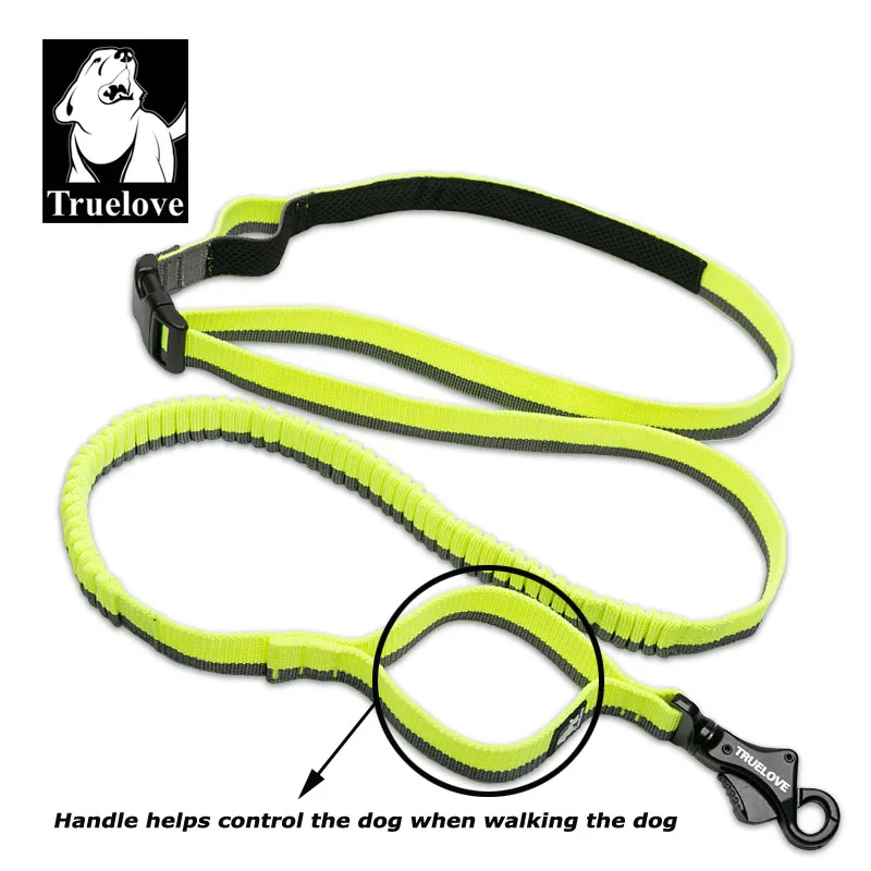 

Dog Running Bungee Leash Hand-Held Waistworn Adjustable Nylon Elastic Retractable Dog Leads For Running Jogging Walking
