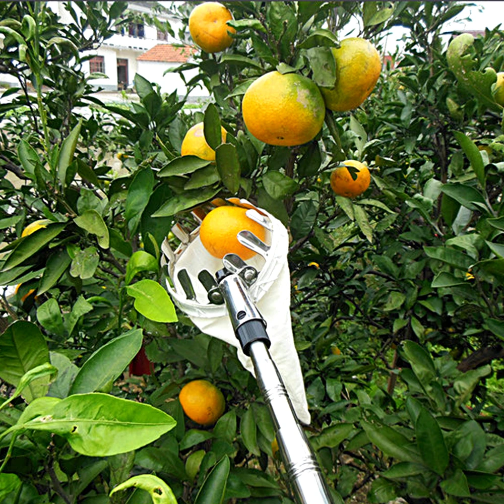 

High Quality Metal Fruit Picker Convenient Gardening Tools Fruit collector for orchard Apple Peach High Tree Picking Hand Tools