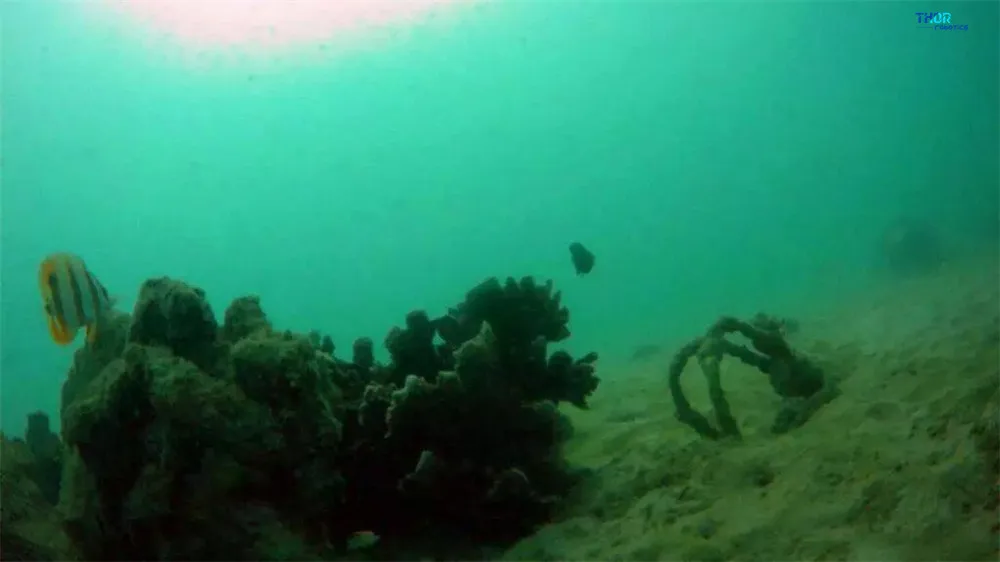 ThorRobotics подводный Дрон камера дроны Trenchrover110 ROV подводный робот фотография