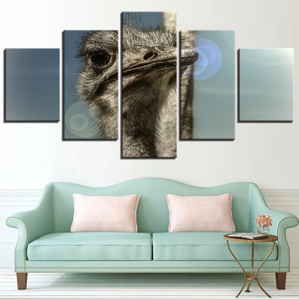 5 шт. Страусиная голова холст животные обои фотообои пустыня картины для дома