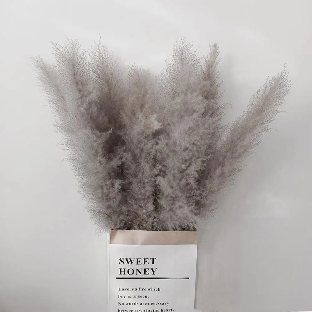 3Pcs/Set Natural Dried Flower Pampas Grass Gray Reed Home Decoration Wedding Layout Corner Shop Display Window Accessories - купить по