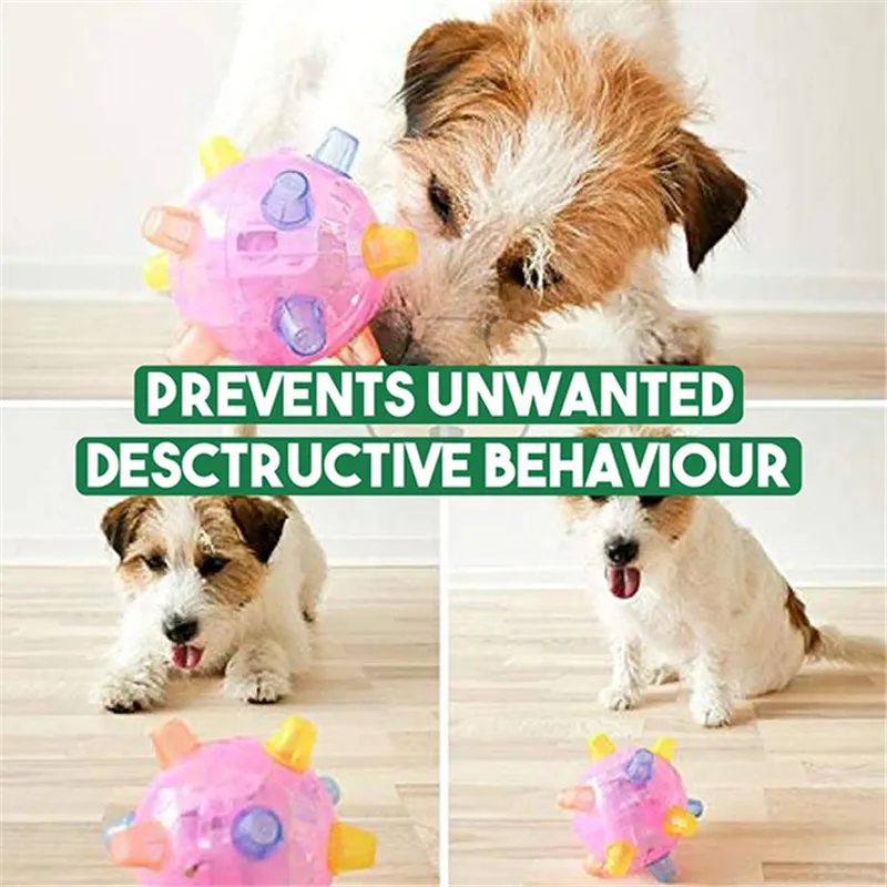 

Jumping Activation Ball for Dogs Durable Reusable Cute for Dogs Funny Toys PR Sale