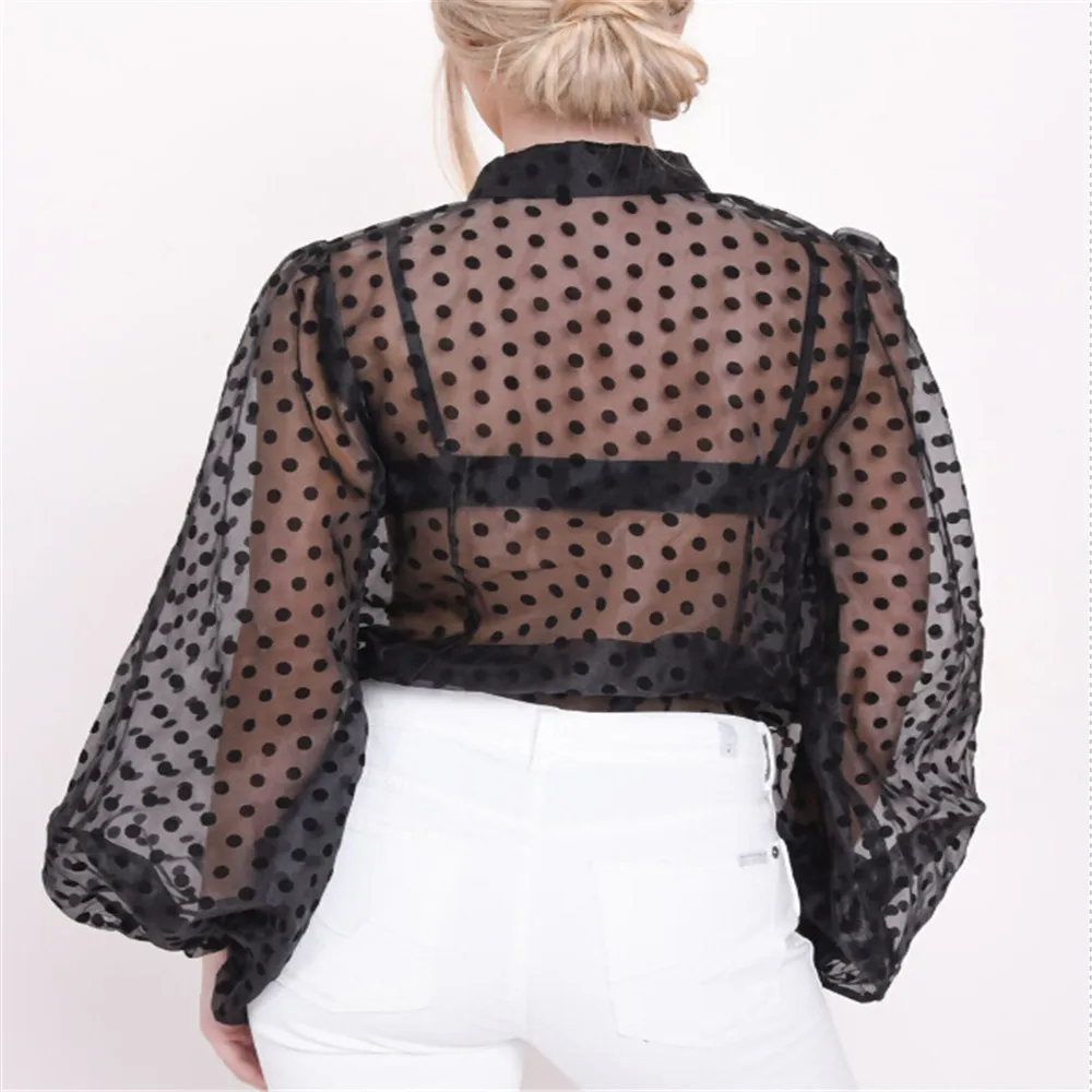 Модные женские Топы в горошек с v-образным вырезом и длинным рукавом пышными