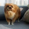 Изображение товара 3