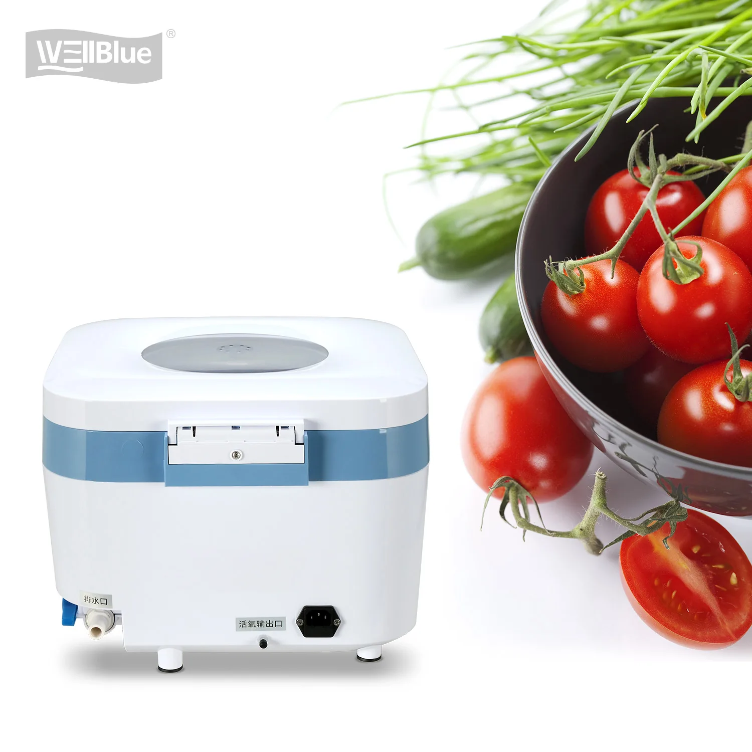 

UV and Ozone Fruit Vegetable Cleaner and Vegetable Washer Kitchen food cleaning machine
