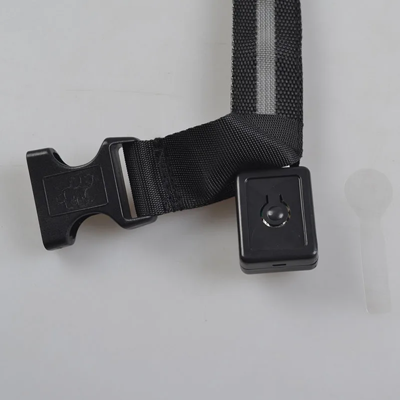 Бесплатная доставка товары для домашних животных собак со светодиодной