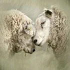 Камни в форме ромба и круглый два овец 5d Сделай Сам алмазная живопись наклейка 