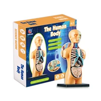 human torso body model anatomy anatomical medical internal organs manikin skeleton model for teaching classroom tools innate
