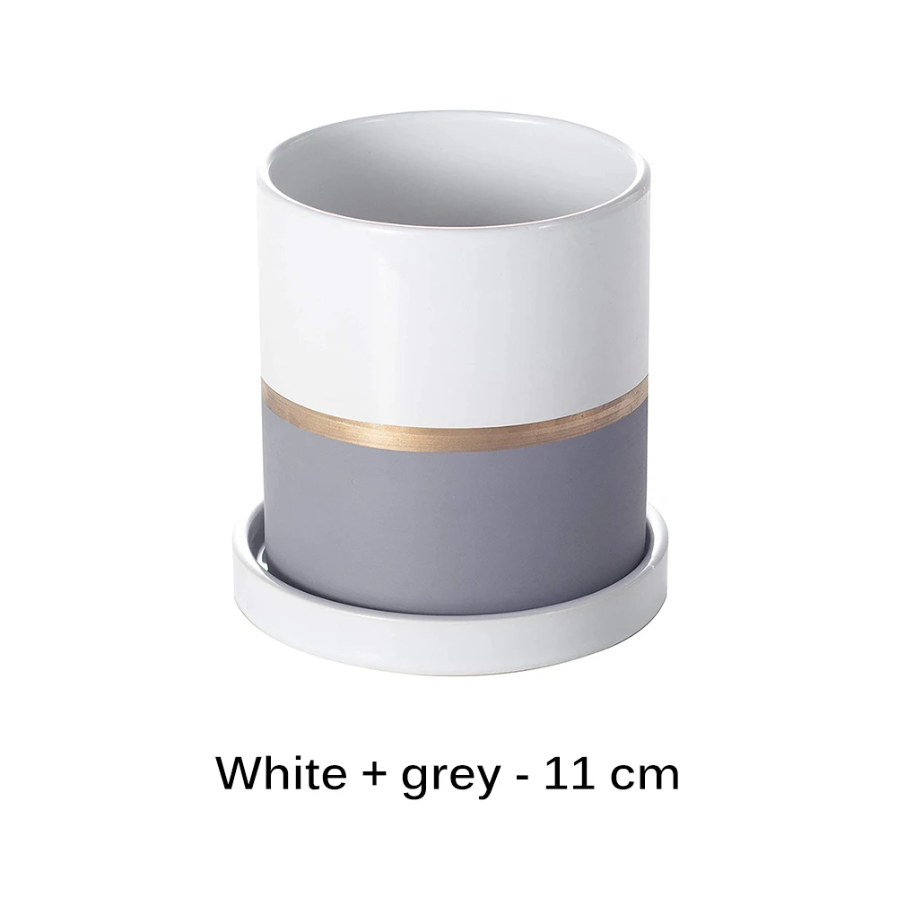 Зеленые растения в горшке украшение для садоводства новые современные