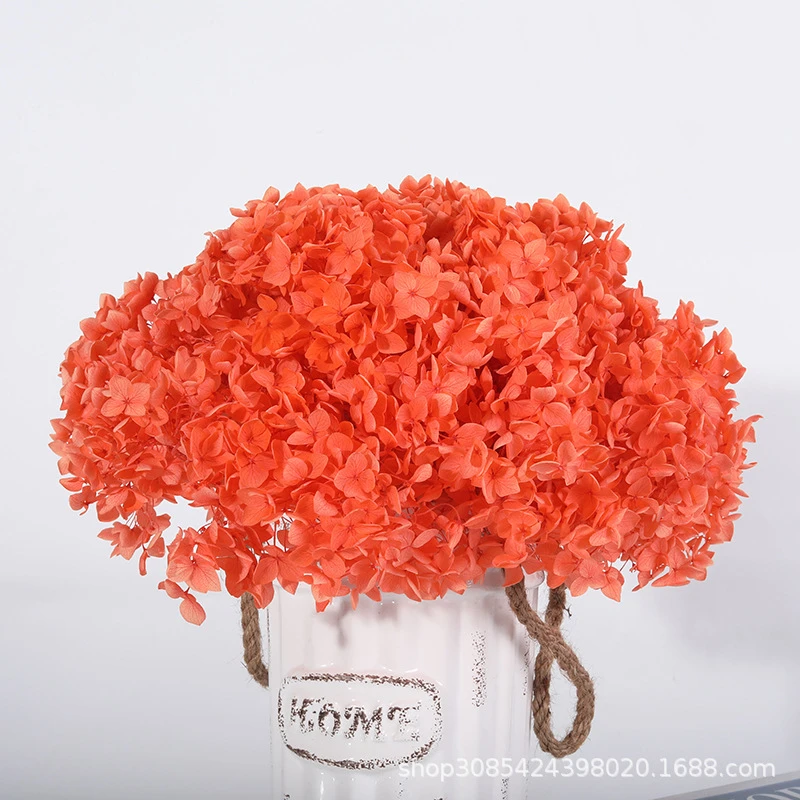 

Real Dried Flower Hydrange Home DecorPreserved Eternal Artificial FLowersBouqut Living Indie Room Decoration For Wedding Party
