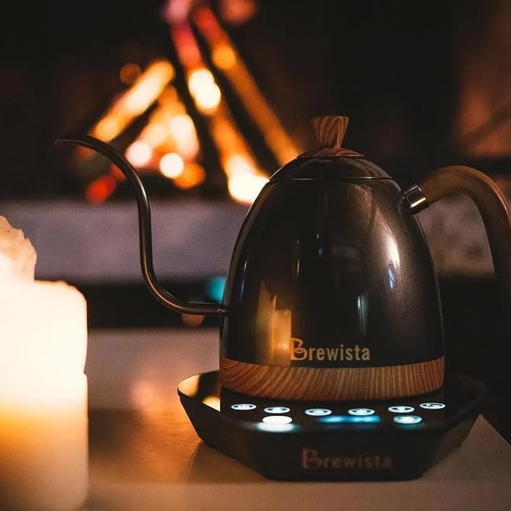 Brewista Artisan-cafetera con cuello de cisne y temperatura constante, 600ml, control de temperatura variable, 220V-4